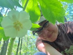 Herbalists who have additional health certifications may also find lucrative positions in integrative medicine. The Herbal Eye Ashtabula County Metroparks