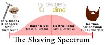 2018 Guide To Buying An Electric Shaver Paupers Dime