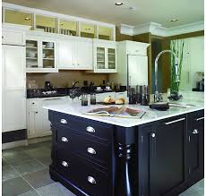 eight kitchen cabinet trends designs