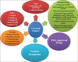 Dr datta said that one of the key symptoms to look out for when it comes to cervical cancer is abnormal bleeding. Possible Biomarkers And Therapeutic Targets For The Management Of Cervical Cancer Bentham Science