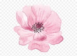 Pikbest has 25826 hand drawn flower design images templates for free. Pink Hand Painted Flowers Halloween Hand Drawn Pink Flowers Png Free Transparent Png Images Pngaaa Com