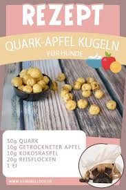 Rezept Fur Hundekekse Hundeleckerli Quark Apfel Kugelchen Fur Hunde Selbst Backen Www Genkibulldog De Rezept Fur Hundekekse Hundekekse Hunde Kekse Rezept
