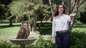 We put our heart and soul into the intricate details of a new era of glasses. America S Best Contacts And Eyeglasses Dkny Event Tv Commercial Bird Bath Ispot Tv