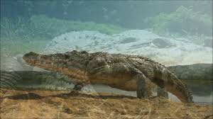 When ahmad,ali,aisyah,malik entered the river, they were killed by bujang senang.it said bs: Wings Bujang Senang Lirik Lyrics On Screen Chords Chordify