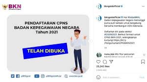 Check spelling or type a new query. Pendaftaran Cpns 2021 Magelang