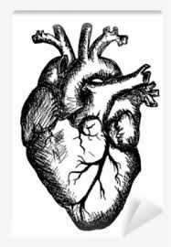 Cute love sale banner or greeting card, png. Clip Free Heart On White Background Black And White Human Heart Transparent Png 400x400 Free Download On Nicepng