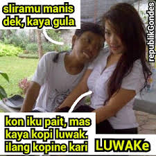 Check spelling or type a new query. Terpopuler 38 Meme Gambar Dewasa