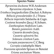 Image result for Lefebvrea longipedicellata