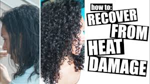 Do you know any other ways on how to curl your hair without heat? How To Recover From Heat Damage To Healthy Curly Hair Youtube