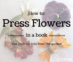 Pressing flowers between pages of heavy books has been a popular pastime for many hundreds of years. Diy Book Flower Press Free Craft From The Garden Be A Fun Mum