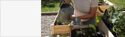 Whichever the case, our team and facilities can provide the flexible pet care and boarding options you require. Garden Center Walmart Com