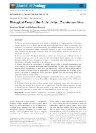 Image result for Crambe kilimandscharica