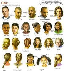 The hairstyle was a staple in the british 'teddy boy' movement, and became popular again in europe in the early 1980s and 2010s. Hair Vocabulary Learning English In Metrowest
