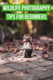 Pin On Photography Tips Tricks