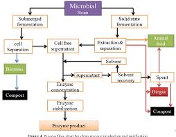 Figure 4 From Bacterial Protease Enzyme Safe And Good