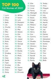 Blanca is a female cat name, while blanco makes an awesome boy cat name. The 100 Most Popular Male And Female Cat Names Of 2020 Rover Com Cat Names Cute Cat Names Cats
