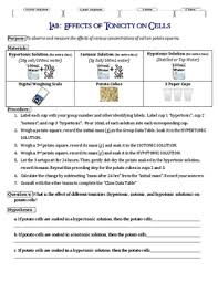 What is the effect of a hypertonic solution on cells. Lab Effects Of Tonicity On Cells Observe Measure The Effects Of Osmosis
