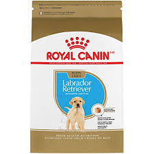 When looking for the best puppy food for labs, choose a puppy formula specifically designed for large breeds. Best Puppy Food For Labs In 2021 Goodpuppyfood
