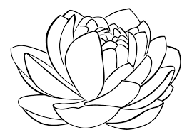 Digital stamps can be resized or flipped before printing. Drawing Flower Templates Novocom Top