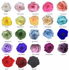 Uae National Flag Color Long Time Lasting Fresh Roses Preserved Flowers Buy Fresh Roses Preserved Flowers Long Time Lasting Fresh Roses Uae National