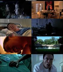 Cienpies humano descargar mega