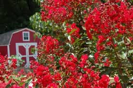 Maybe you would like to learn more about one of these? Heaven Scent Gardeners Confidence Collection