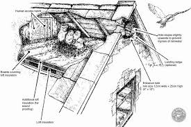 Some things to consider when insulating a pole barn include: Barn Owl Nest Spaces Within Buildings The Barn Owl Trust