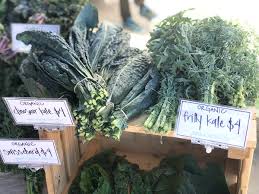 Children in grades 3 through 5 understand more about how plants test out homemade, organic, and chemical weed killers to see which actually works best. Visiting The Farmers Market With Kids Super Simple