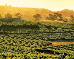 Immagine di Barossa Valley