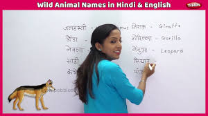 Animals Name In English Hindi À¤ À¤¨à¤µà¤° À¤ À¤¨ À¤® With Picture