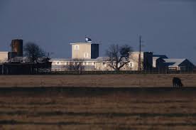 Maybe you would like to learn more about one of these? Waco How Long Did The Siege Last Popsugar Entertainment