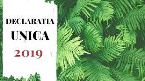 Prin declarația unică privind impozitul pe venit și contribuțiile. Declaratia Unica 2019 Inregistrare Spv Formular 2019 Termene Unde Platesc Impozitele Youtube