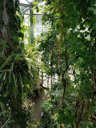 Nach voranmeldung sind für gruppen führungen möglich. Botanischer Garten Tropenhaus Osnabruck 05 17 Botanischer Garten Tropenhaus Garten