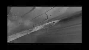 Manny, sid, and diego are currently living in a large valley surrounded by an enormously high ice wall on all sides which is actually a wall barely holding a massive body of water that could flood the valley. Ice Age The Meltdown 2006 Movie Moviefone