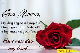 In a world full of exotic flowers, you are my most beautiful rose. 45 Best Good Morning Love Images Picture Quotes For Lover Romantic Wishes