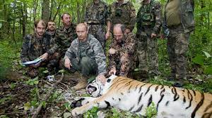 Vladimir putin riding a grizzly bear, lovingly printed on a coffee mug. Vladimir Putin S Tiger Devours A Bear In Russia Abc News