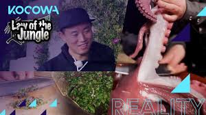 Law of the jungle is a hybrid reality show combining elements of drama and documentary. Gary Caught A Giant Octopus The Hard Way Law Of The Jungle Ep 432 Youtube