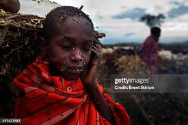 171 Maasai Mara National Reserve Conservancy Stock Photos, High-Res  Pictures, and Images