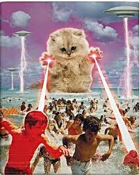 Oh My God What A Catastrophe Collage Art Cat Art Space Cat