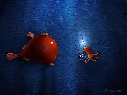 Octopus More Light Please Angler Fish Sigh I Need To Get Another Job Angler Fish Pet Birds Free Desktop Wallpaper