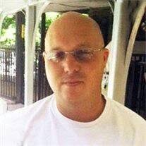 Harold Steven Ingalls Obituary