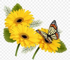 Flowers butterflies butterflies flowers monarch monarch butterflies butterfly insect flower nature high definition picture beautiful animal macro summer wings insects wing colorful green orange painting behind plant petals closeup blue flower petals butterfly flower leaf wildlife hd fickleness creative. Butterfly Flower Yellow Clip Art Png 4410x3808px Butterfly Annual Plant Brush Footed Butterfly Chrysanths Color Download