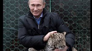Its a story to strike fear in the hearts of non dog lovers everywhere. Putin Poses With Leopard