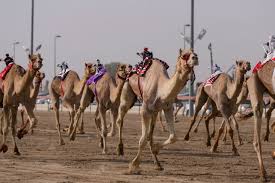 Start studying v vehicles and transport. Photos Of Dubai That Most Tourists Haven T Seen Page 23 Of 51 Interesticle Page 23