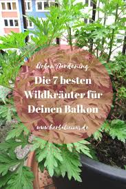 Du Wohnst In Der Stadt Und Weisst Nicht Wo Du Wildkrauter Sammeln Kannst Wie Ware Es Mit Wildkrauter Fur Den Balko Pflanzen Hochbeet Pflanzen Garten Anpflanzen