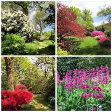 Pin On Gardens