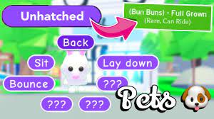 Trade, buy & sell adopt me items on traderie, a peer to peer marketplace for adopt me players. How To Age Your Pet Fast And Teach It Tricks Adopt Me Pets Tutorial Youtube