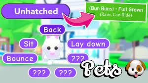 Build homes, raise cute pets and make new friends in the magical world of adopt me! How To Age Your Pet Fast And Teach It Tricks Adopt Me Pets Tutorial Youtube