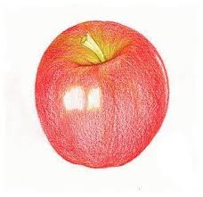 Apfel Zeichnen Lernen Fur Anfanger Dekoking Com 1 Apfel Zeichnen Zeichnen Lernen Fur Anfanger Zeichnen Lernen