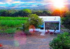 Lion's Safari ReSort & Farm 𝗕𝗢𝗢𝗞 Sasan ...